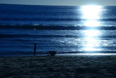 DSC_1182 (Large).JPG